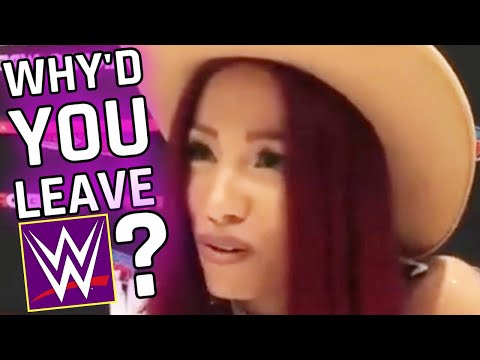 Sasha Banks SNAPS At Fan!