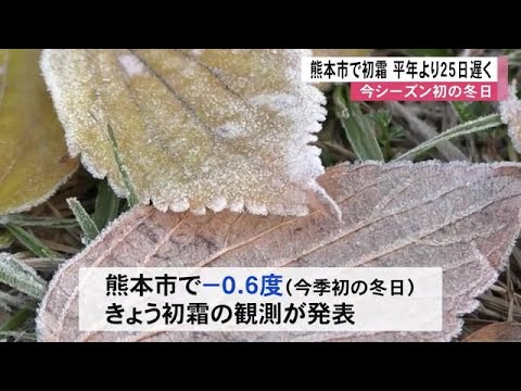 熊本市で初霜　今シーズン初めての冬日【熊本】 (24/12/20 12:00)