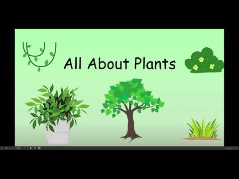 All About Plants | Educational Videos for Kids | Pre-school | Kindergarten | Elementary