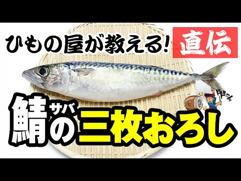 【鯖の三枚おろし】ひもの開き大会日本一優勝店 まるたつひものセンター 鯖のさばき方 静岡県伊東市 丸達水産 mackerel Clean a fish