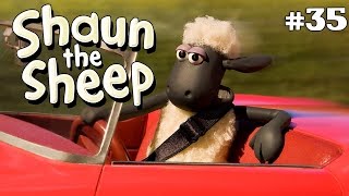 Tidy Up | Shaun the Sheep Season 1 | Full Episode