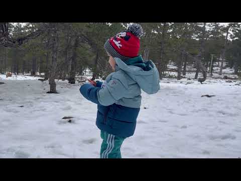 Wonderful family day. (Lazarus sees snow first time)