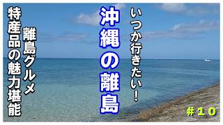 【沖縄旅行】沖縄の離島おすすすめグルメ・特産品堪能してきた『離島フェア２０２４』２０２４年１１月３泊４日沖縄夫婦２人旅