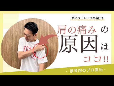 【肩の痛み〜肩鎖関節脱臼〜】自転車に乗っていたりスポーツをしていて転倒したとき肩を強打し腕が上がらなくなったときの対処方法！｜接骨院のプロが教えるお家セルフケア｜テラピスト接骨院