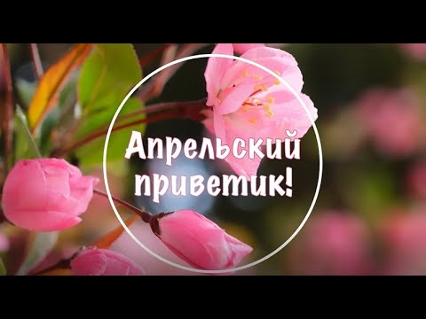 Апрельский приветик! С весенним днем! Весеннего настроения! Привет, апрель!