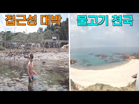 (⚠️ 입소문 자제) 현지 주민만 알고있는 숨겨진 스노클링 포인트 대공개 !