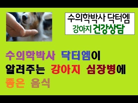 수의학박사 닥터엠이 알려주는 강아지 심장병 관리에 좋은 음식!