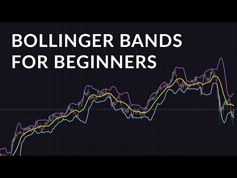 Bollinger Bands: Beginner Guide