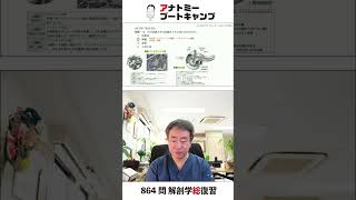 【 #国試1分道場 ・内分泌系】内分泌腺と外分泌腺をともに含むのはどれか。　１．松果体　２．膵臓　３．副腎　４．上皮小体 #かずひろ先生 #解剖学