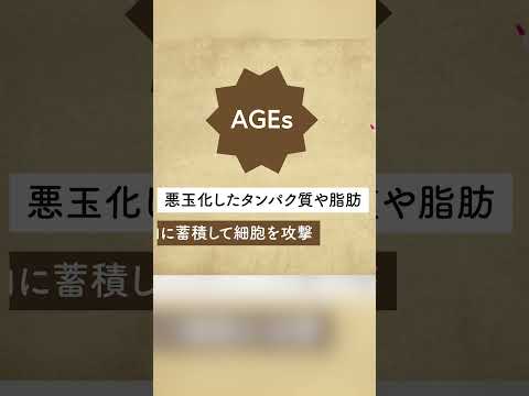 【AGEs】食べると老ける終末糖化物質産物