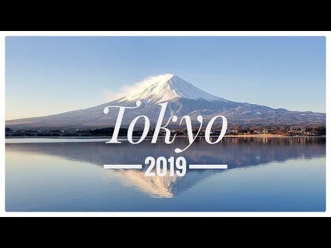 【東京遊2019】陪我一起遊東京吧！