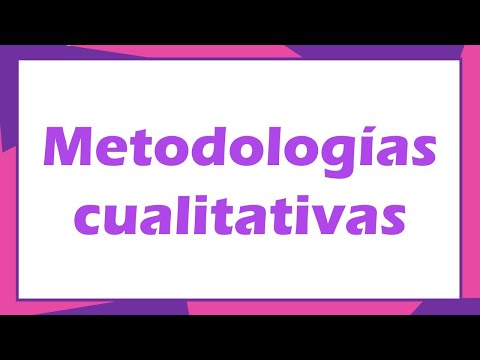 ¿Cuáles son las principales metodologías cualitativas?