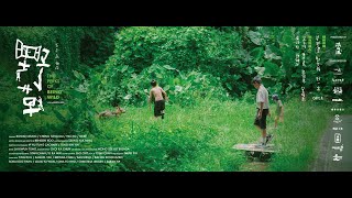 電影《野草》預告片 'The Perks of Being Wild' Trailer｜現在全港流動公映 Screening All Around Hong Kong