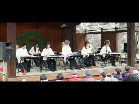 【春よ、来い】大正琴奉納演奏＿