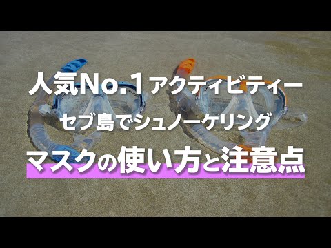 セブ島のオプショナルツアーで一番人気！シュノーケリングの使い方と注意点