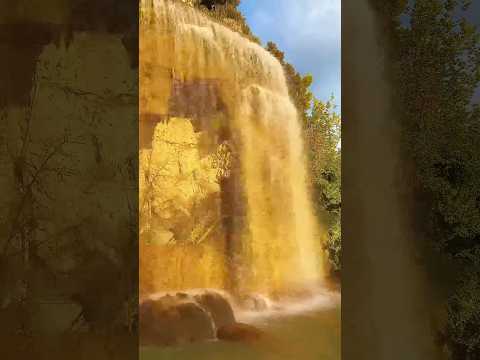 Ты как горной реки водопад! 💦 #александрзакшевский #женщиналюбимаямоя