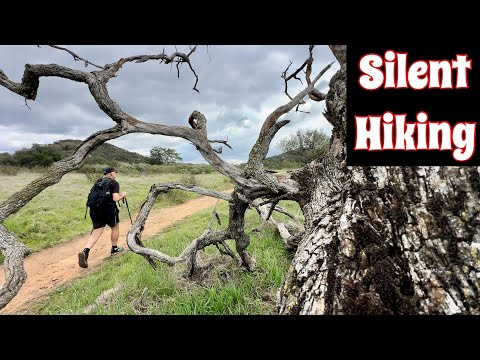 COUGAR RIDGE/ENGELMANN OAK TRAIL LOOP | Silent Hiking