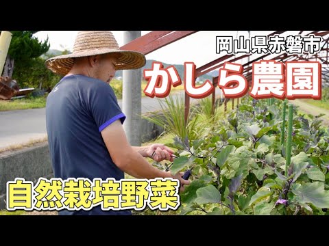 「かしら農園」岡山県赤磐市で自然栽培の野菜作りをしている農家さん