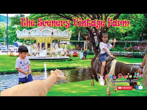 เที่ยวThe Scenery Vintage Farm พี่อลิซ น้องอลัน : Alice Alan's Life