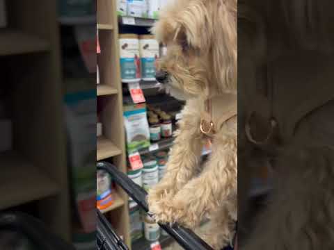 It *IS* an emergency when your pet runs out of their favorite supplements! 😱🚨🐶