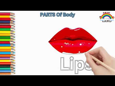 "Learning Body Parts with Drawing #2| Fun Art Lessons for Kids"