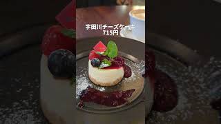 渋谷で人気のおしゃれカフェ【宇田川カフェ】の宇田川チーズケーキ（750円）#渋谷 #渋谷カフェ #カフェ巡り