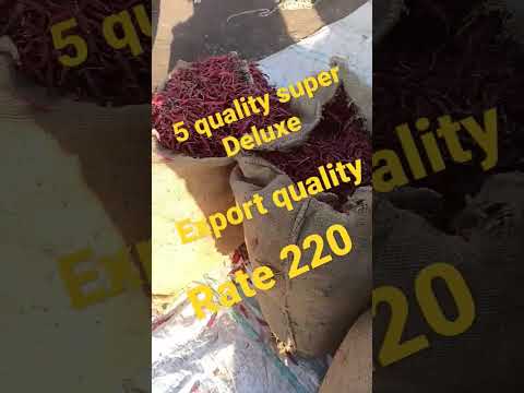 🌶️🌶️5 quality Deluxe Export quality Rate 220 🌶️🌶️ Bedia  mirchi