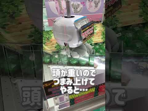 ポケモンぬいぐるみコレで取れました【クレーンゲーム】 #ufoキャッチャー #確率機