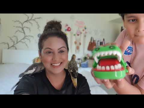 Bus Karo Aahan 😳 | Our Pet’s Last Video | Mamta Sachdeva