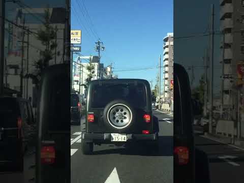 車好きな人 この車の名前は何？#shorts #車 #ドライブレコーダー #ドラレコ #レア車 #外車