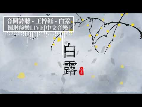 白露 - 音闕詩聽 - feat.王梓鈺【中文音樂】【動態歌詞】Lyrics【無損音質】蒹葭蒼蒼，白露為霜，所謂伊人，在水一方