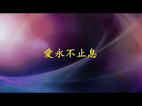 【愛永不止息】 小提琴與樂隊純享版 商泉編曲/演奏 讓愛成為奇跡