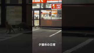 夕張市の日常