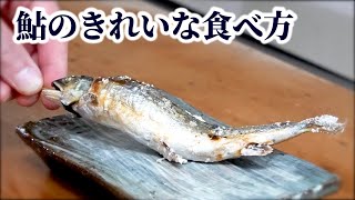 鮎の焼き方・食べ方【きれいに】骨を抜く方法を紹介！串の刺し方など焼くまでの下処理方法も解説