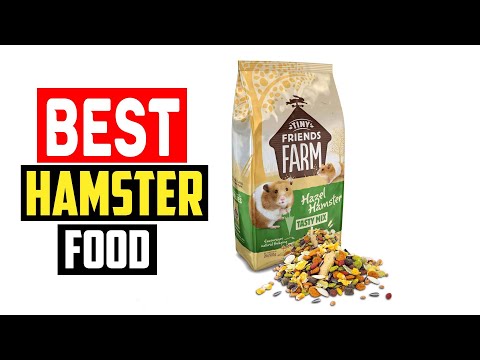 ✅Best Hamster Food in 2023