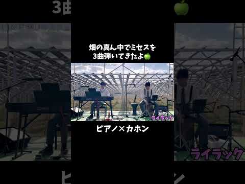 【中学生】Mrs. GREEN APPLE・ダンスホール/ライラック/ケセラセラ