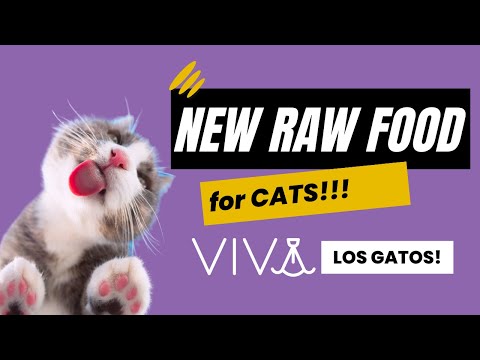 NEW Delicious Raw Food For Cats | with Viva Raw & Pam Roussell | Two Crazy Cat Ladies