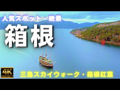 【人気スポット】三島スカイウォーク・箱根関所紅葉