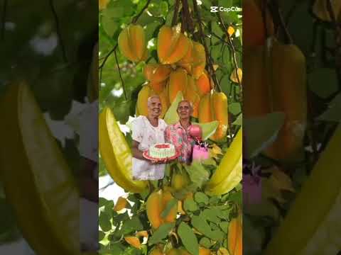 StarFruit#shorts #shortvideo #asmr #satisfying #trending #viral