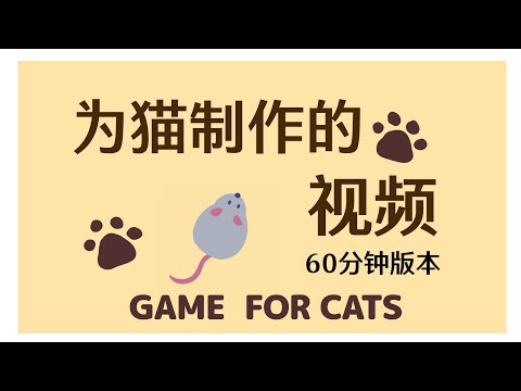 给猫看的视频　60 分钟