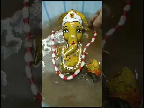 Eco-friendly Ganesha Nimajjanam at Home 🙏😊#ganeshnimajjanam #diy #ecofriendly #trending #viral