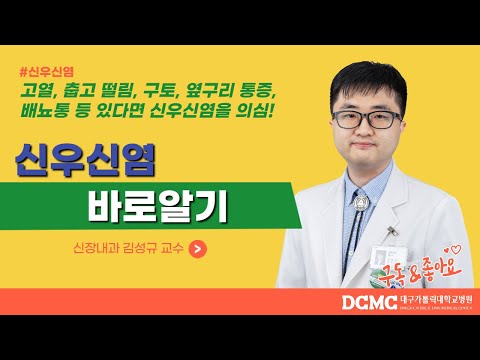 고열, 춥고 떨림, 구토, 옆구리 통증, 배뇨통 등 있다면 '신우신염'을 의심해보세요! (feat.김성규 교수)[대구가톨릭대병원]