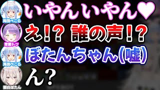 突然エッ●な声を出してしまい咄嗟にししろんに擦り付けるぺこら【ホロライブ切り抜き/獅白ぼたん/兎田ぺこら/常闇トワ/PEBOT】