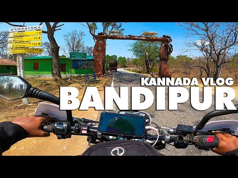 BANDIPUR TIGER RESERVE FOREST On BIKE🔥 | Ooty To Mysore | Mudumalai | Karnataka | Kannada Vlog #Ooty