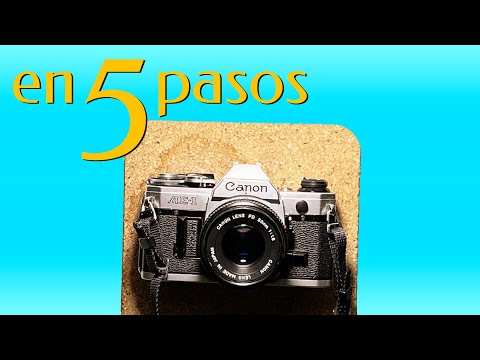 Cómo usar Canon AE1 (español) en 5 pasos | Cámara analógica quick review