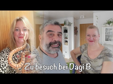 Zu besuch bei Dagi B. | Reptilien und Insekten Haltung