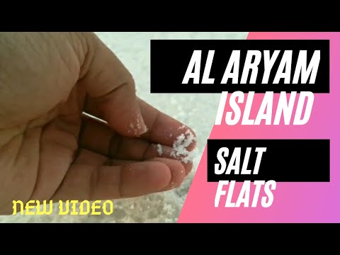 Al Aryam Island salt flats | Abu Dhabi 🇦🇪 |#UAE 🇦🇪