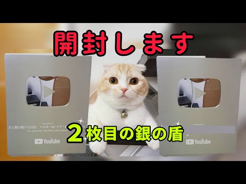 開封ライブ!２枚目の銀の盾 猫と犬と視聴者皆さんと鑑賞会