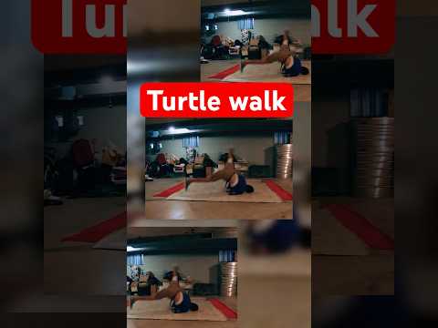 #short #turtle #turtlewalk #breakdance