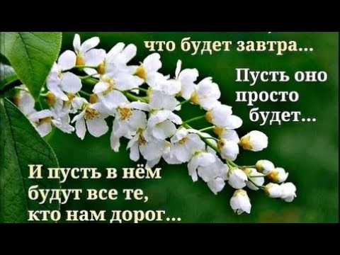 От всей души желаю счастья!!! 😍😊🎤🎹🎼🌹🌹🌹☺✨☺✨